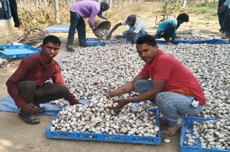 WhatsApp Image 2023-06-17 at 14.03.26