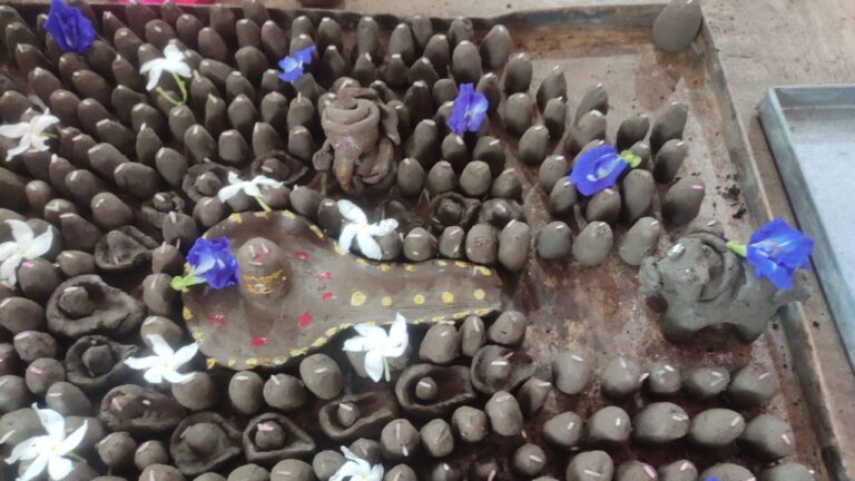 WhatsApp Image 2023-07-31 at 01.20.13