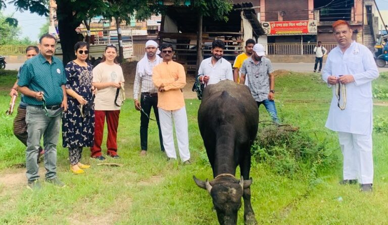 WhatsApp Image 2023-08-15 at 16.37.27