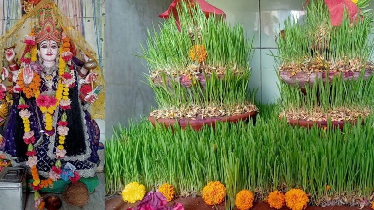 WhatsApp Image 2023-10-21 at 17.11-horz