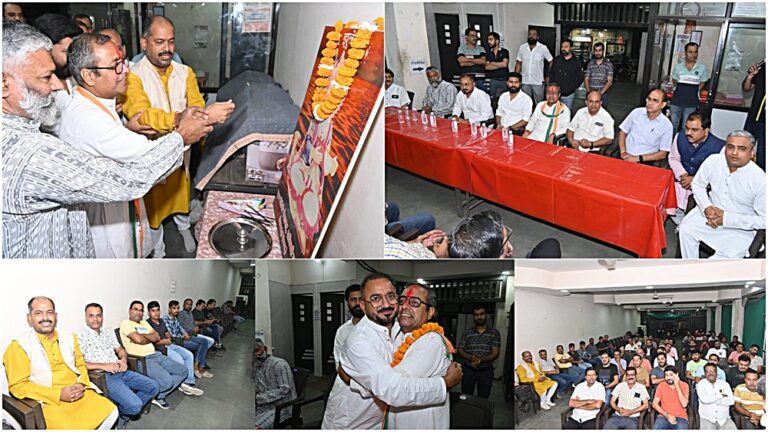 WhatsApp Image 2023-11-08 at 12-vert