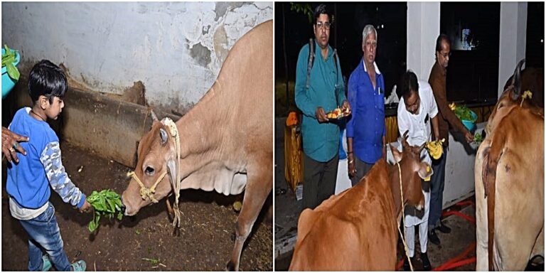 WhatsApp Image 2023-11-21 at 13.27-horz