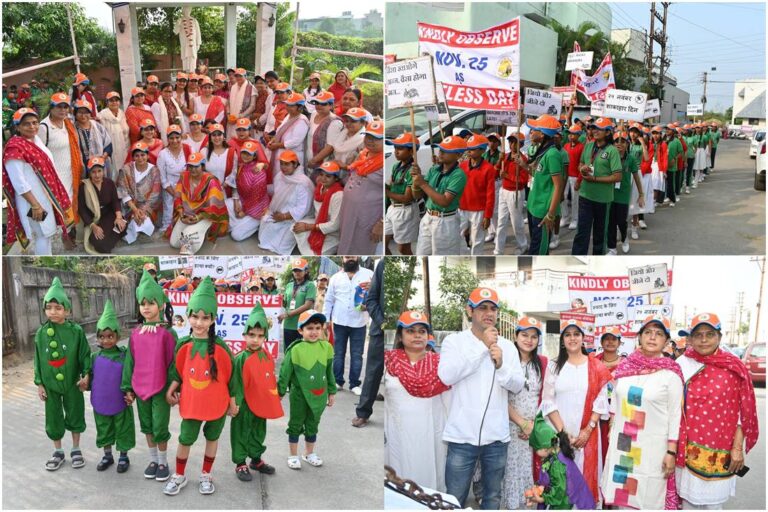 WhatsApp Image 2023-11-25 at 15.55-tile