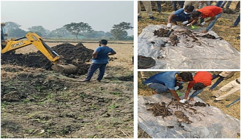 WhatsApp Image 2024-01-10 at 16.51.47