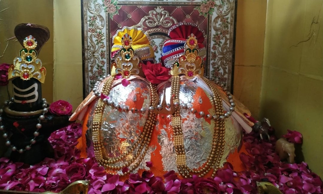 WhatsApp Image 2024-02-11 at 19.45.30