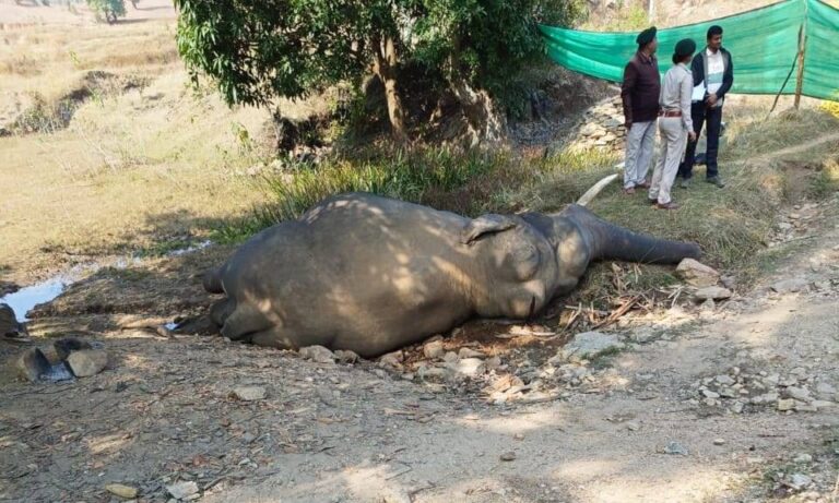 WhatsApp Image 2024-02-16 at 17.05.02