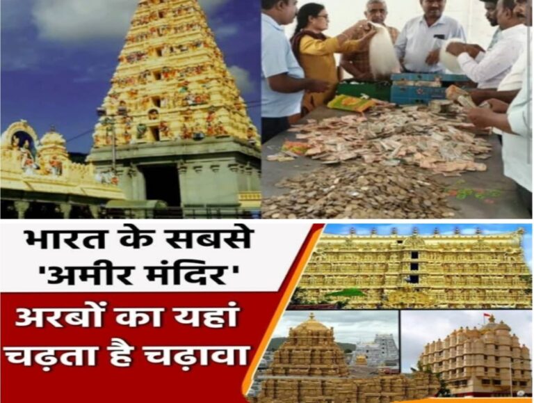 WhatsApp Image 2024-02-24 at 18.20.09