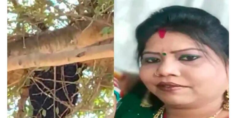 WhatsApp Image 2024-03-27 at 1.20.28 PM