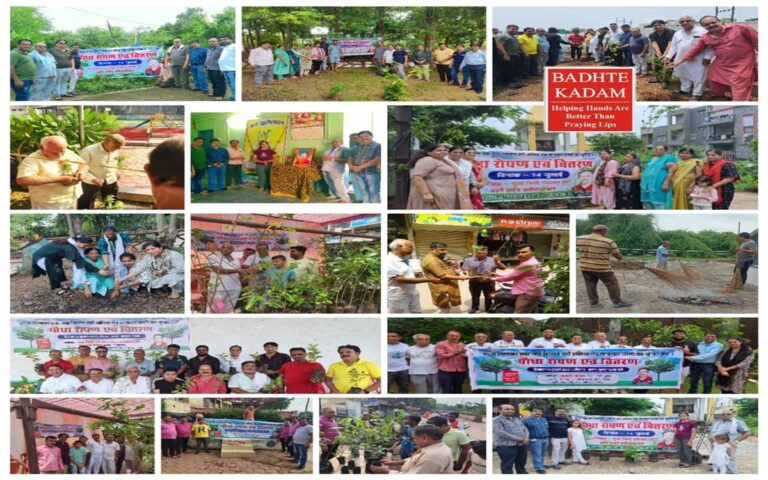 WhatsApp Image 2024-07-16 at 19.07.12