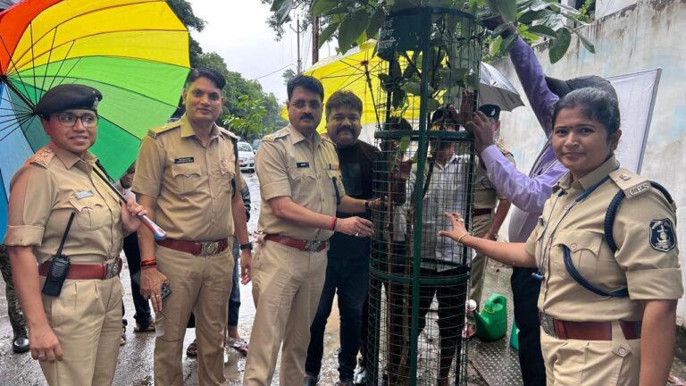 WhatsApp Image 2024-08-01 at 17.46.26