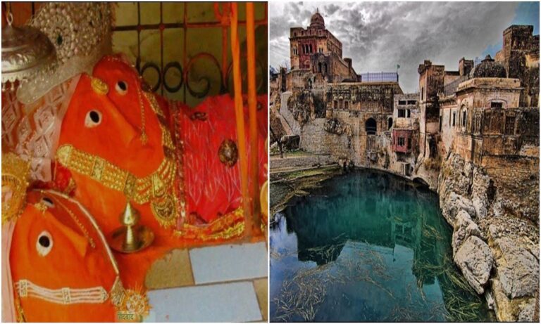 WhatsApp Image 2025-01-19 at 04.25-horz